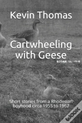 Cartwheeling With Geese