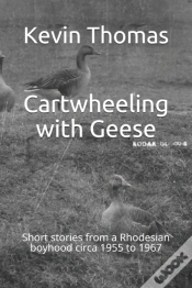 Capa do artigo Cartwheeling With Geese