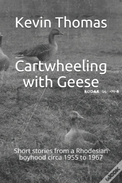 Capa do artigo Cartwheeling With Geese