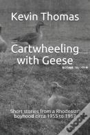 Cartwheeling With Geese