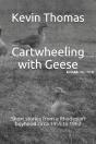 Cartwheeling With Geese - Preview