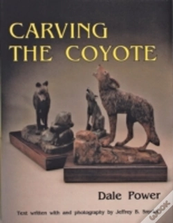 Capa do artigo Carving The Coyote