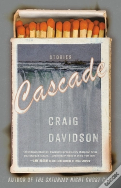 Capa do artigo Cascade