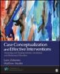Case Conceptualization And Effective Interventions - Preview