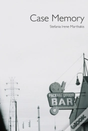 Capa do artigo Case Memory