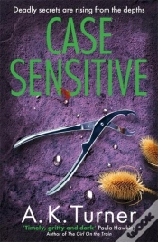 Capa do artigo Case Sensitive