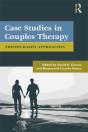 Case Studies In Couples Therapy - Preview