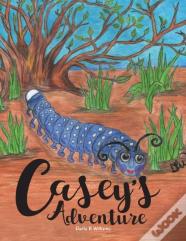 Casey'S Adventure