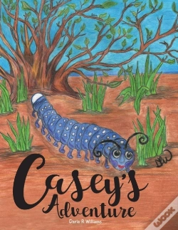 Capa do artigo Casey'S Adventure