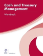 Cash And Treasury Management Workbook - Preview
