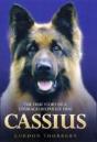 Cassius - Preview