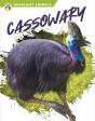 Cassowary - Preview
