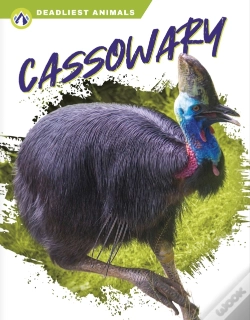 Capa do artigo Cassowary