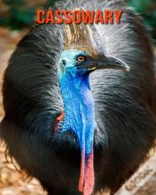 Cassowary