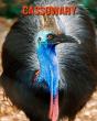 Cassowary - Preview
