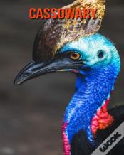 Cassowary