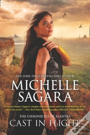 Capa do artigo Cast In Flight