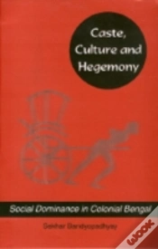 Capa do artigo Caste, Culture And Hegemony
