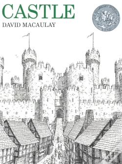 Capa do artigo Castle