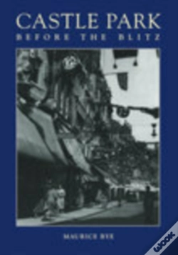 Capa do artigo Castle Park