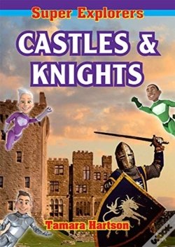 Capa do artigo Castles And Knights