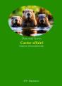 Castor Affairé - Preview