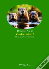 Castor Affairé