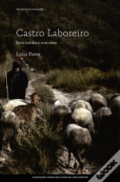 Capa do artigo Castro Laboreiro