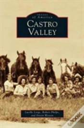 Capa do artigo Castro Valley
