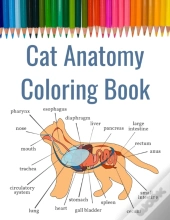 Cat Anatomy Coloring Book
