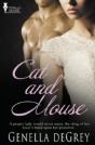 Cat And Mouse - Preview