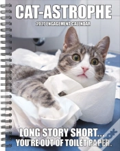 Capa do artigo Cat-Astrophe 2027 Engagement