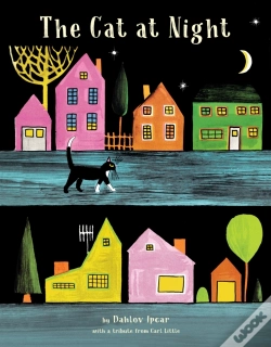 Capa do artigo Cat At Night