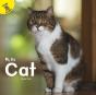 Cat - Preview
