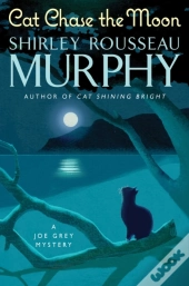 Cat Chase The Moon