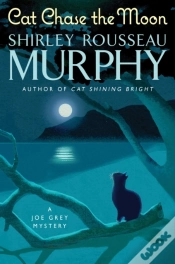 Capa do artigo Cat Chase The Moon