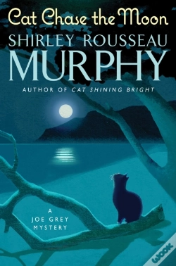 Capa do artigo Cat Chase The Moon
