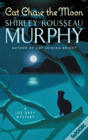 Capa do artigo Cat Chase The Moon
