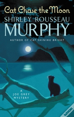Capa do artigo Cat Chase The Moon