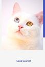 Cat Composition Notebook: Perfect Cat No - Preview