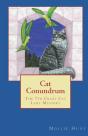 Cat Conundrum - Preview