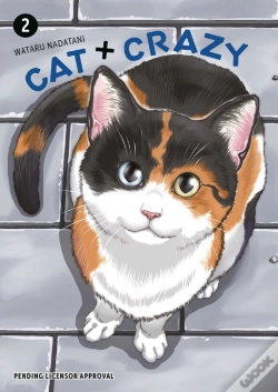 Capa do artigo Cat + Crazy Volume 2