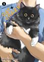 Cat + Crazy Volume 3 - Preview