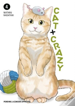Capa do artigo Cat + Crazy Volume 4