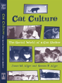 Cat Culture - Preview