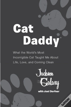 Capa do artigo Cat Daddy