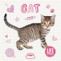 Cat - Preview
