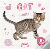 Capa do artigo Cat