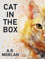 Cat In The Box - Preview