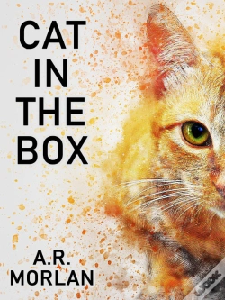 Capa do artigo Cat In The Box